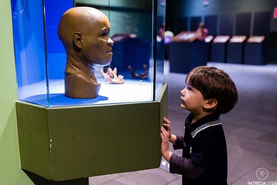 foto colorida. uma criança observa o crânio de luzia, em exposição no museu da puc minas. 